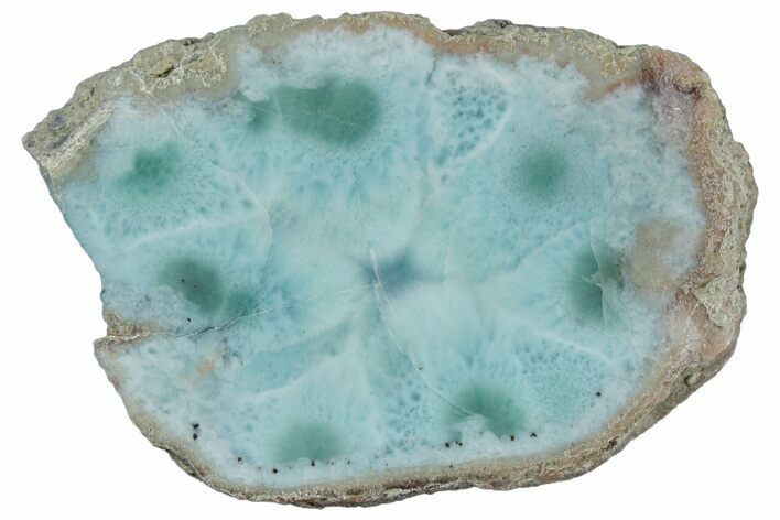 Slice Of Larimar Replaced Wood Limb Cast #316962
